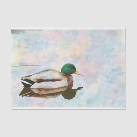 Weefselpapier voor Mallard Duck-Waterverf Tissuepapier (Voorkant)