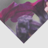 Weefselpapier voor mensvogels tissuepapier (Detail)