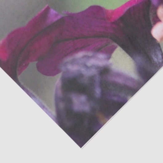 Weefselpapier voor mensvogels tissuepapier (Detail)