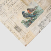 Weefselpapier voor noodgevallen vogels en document tissuepapier (Detail)