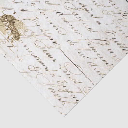 Weefselpapier voor ontkoppeling van bijenscript tissuepapier (Detail)