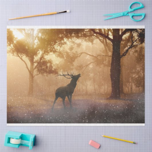 Weefselpapier voor ontkoppeling van bossen tissuepapier (Craft)