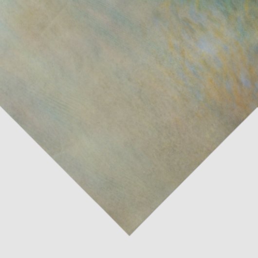 Weefselpapier voor ontkoppeling van Pegasus Tissuepapier (Detail)