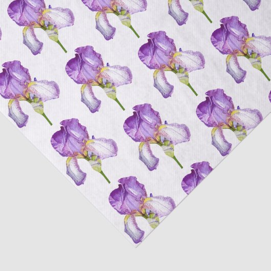 Weefselpapier voor Paarse Iris Pattern Tissuepapier (Detail)