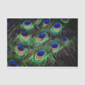 Weefselpapier voor peacocks tissuepapier (Voorkant)