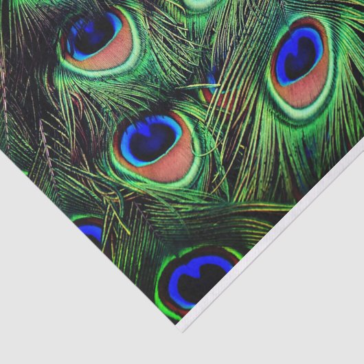 Weefselpapier voor peacocks tissuepapier (Detail)