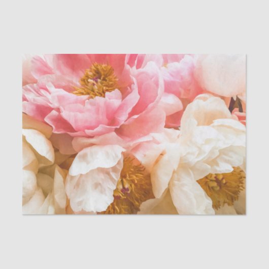 Weefselpapier voor peulroze en crème peonies tissuepapier (Voorkant)