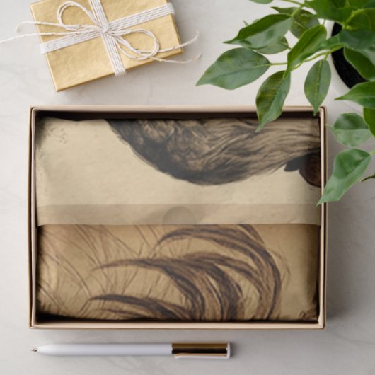 Weefselpapier voor racestroom tissuepapier (Geschenk)