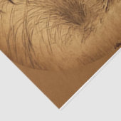 Weefselpapier voor racestroom tissuepapier (Detail)