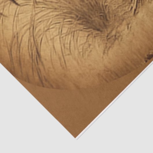 Weefselpapier voor racestroom tissuepapier (Detail)