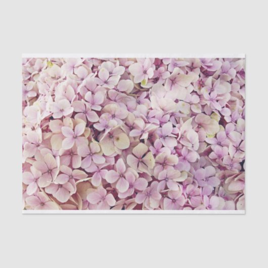 Weefselpapier voor roze hydrangea tissuepapier (Voorkant)