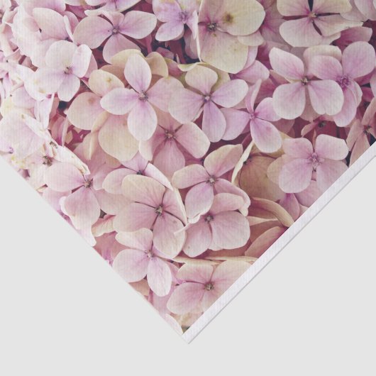 Weefselpapier voor roze hydrangea tissuepapier (Detail)