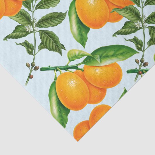 Weefselpapier voor Sinaasappels Tissuepapier (Detail)
