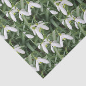 Weefselpapier voor sneeuwval tissuepapier (Detail)