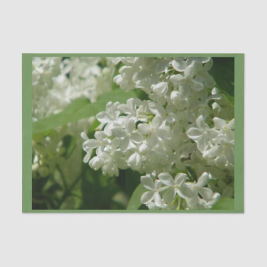 Weefselpapier voor speciaal cadeau tissuepapier (Voorkant)