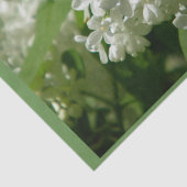 Weefselpapier voor speciaal cadeau tissuepapier (Detail)