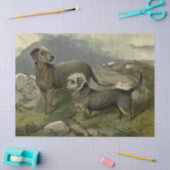 Weefselpapier voor  Terriers Tissuepapier (Craft)