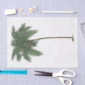 Weefselpapier voor tropisch palm Plant #1 Tissuepapier (Craft)