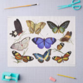 Weefselpapier voor Victoriaans butterijen Tissuepapier (Craft)