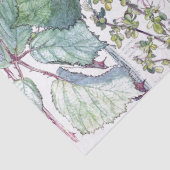 Weefselpapier voor vogelbloemen van Audubon Dove W Tissuepapier (Detail)