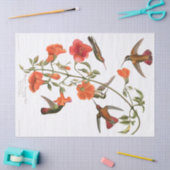 Weefselpapier voor vogelpest tissuepapier (Craft)