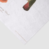 Weefselpapier voor vogelpest tissuepapier (Detail)