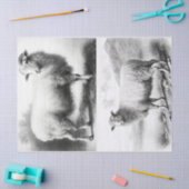 Weefselpapier voor wapenhuisschapen tissuepapier (Craft)