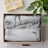 Weefselpapier voor wapenhuisschapen tissuepapier (Geschenk)