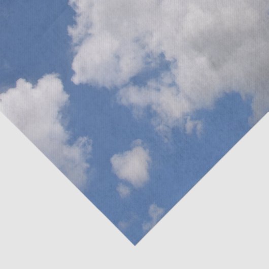 Weefselpapier voor whimsical Cloud Tissuepapier (Detail)