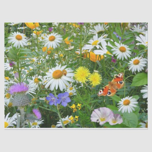 Weefselpapier voor wilde bloemen tissuepapier (Voorkant)