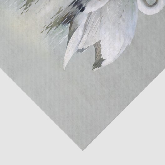 Weefselpapier voor wilde dieren tissuepapier (Detail)