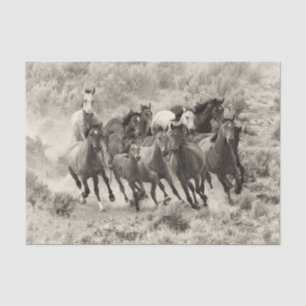 Weefselpapier voor wilde paarden tissuepapier
