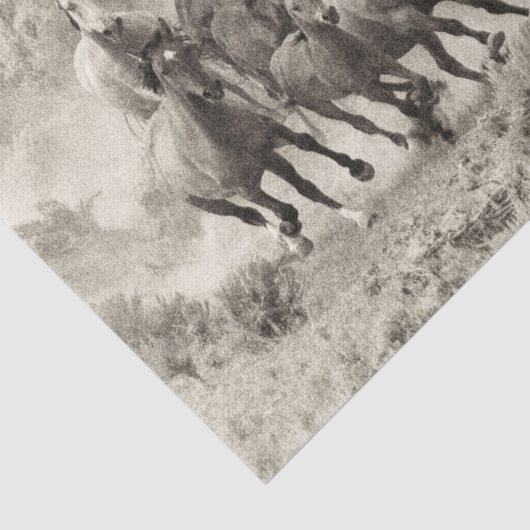 Weefselpapier voor  wilde paarden tissuepapier (Detail)