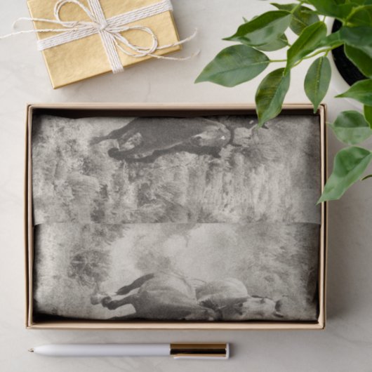 Weefselpapier voor  wilde paarden tissuepapier (Geschenk)