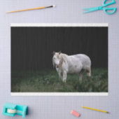 Weefselpapier voor wilde paarden tissuepapier (Craft)