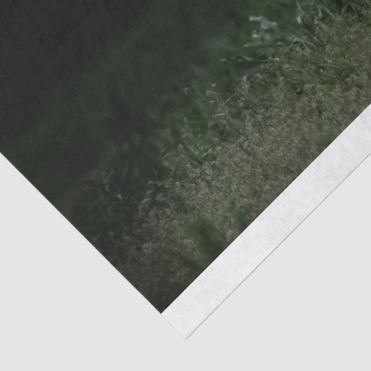 Weefselpapier voor wilde paarden tissuepapier (Detail)