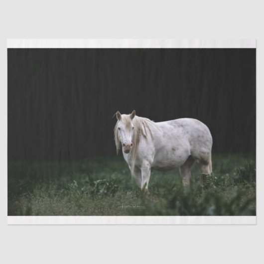 Weefselpapier voor wilde paarden tissuepapier (Voorkant)