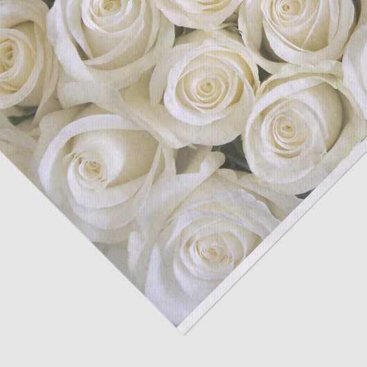 Weefselpapier voor witte rozen tissuepapier (Detail)