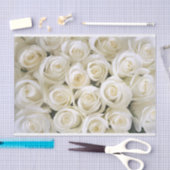 Weefselpapier voor witte rozen tissuepapier (Craft)