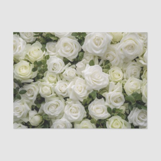 Weefselpapier voor witte rozen tissuepapier (Voorkant)