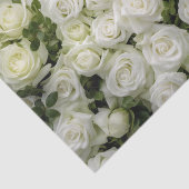 Weefselpapier voor witte rozen tissuepapier (Detail)