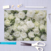 Weefselpapier voor witte rozen tissuepapier (Craft)