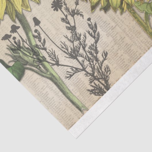 Weefselpapier voor zonnebloemdromen tissuepapier (Detail)