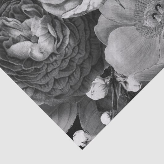 Weefselpapier voor zwart-wit tissuepapier (Detail)