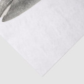 WEEFSELPAPIER:  WALEN TISSUEPAPIER (Detail)