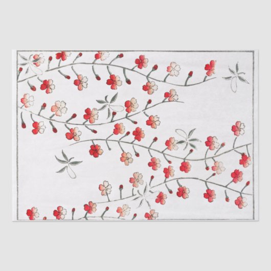 WEEFSELPAPIER : WATANABE SEITEI : CHERRY BLOSSOM TISSUEPAPIER (Voorkant)