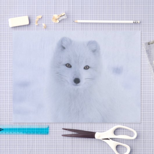 Weefselpapier — Witte vos Tissuepapier (Craft)