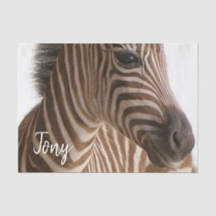 Weefselpapier Zebra Tissuepapier