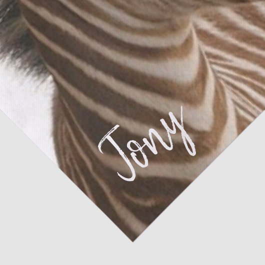 Weefselpapier Zebra Tissuepapier (Detail)