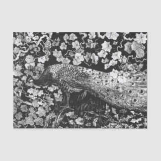 Weefselpapier, ZWART EN WITTE PEACOCK Tissuepapier